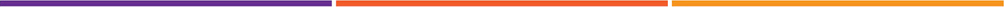 Footer decrorative line